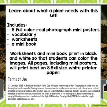 plant needs mini posters worksheets and mini book by having a fields day