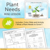 Plant Needs Mini Lesson / Kindergarten Biology Science Fun Coloring Worksheet