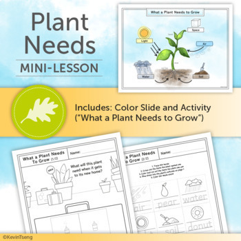 Preview of Plant Needs Mini-Lesson / Kindergarten Biology Science Fun Coloring Worksheet