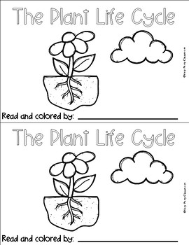 Plant Needs, Parts, and Life Cycle by Very Perry Classroom | TPT