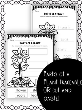 Plant Needs and Parts of a Plant by Lindsay's Little Learners | TPT