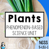 Plant Needs & Photosynthesis Unit | 5th Grade NGSS Plants 