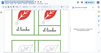 Preview of Plant Nomenclature Cards Montessori