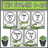 Plant Numbers 0-20 with Ten Frames