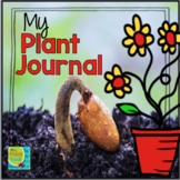 My Plant Journal: The Life Cycle of a Plant