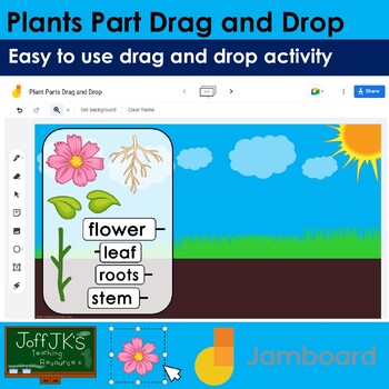 Preview of Plant Part Drag and Drop activity | Jamboard™