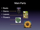 Plant Part and their Functions