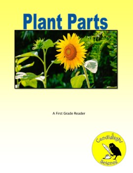 sunflower parts and functions