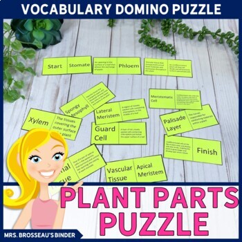 Preview of Plant Parts Domino Puzzle - Biology Puzzle