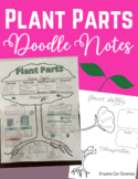 Plant Parts Doodle Notes
