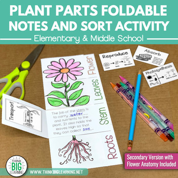 Preview of Plant Parts Foldable Notes Diagram and Functions Sort Activity