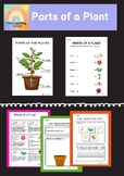 Plant Parts: Functions, Labels, Observation sheets and worksheets