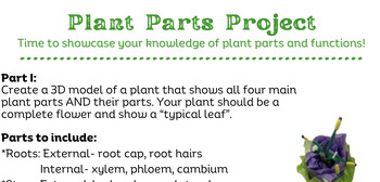 Preview of Plant Parts & Functions Model