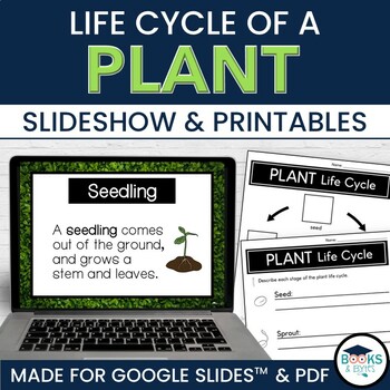 Preview of Plant Parts & Life Cycle Slideshow for Google Slides™ + Printable Activities