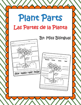 Preview of Plant Parts / Partes de una Planta - Dual Language English & Spanish