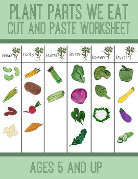 Preview of Plant Parts We eat- Parts of a Plant- Cut and Paste Activity