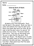 Plant Parts Reading Comprehension for Primary Grades