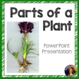 Plant Parts Powerpoint