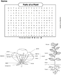 Plant Parts Activity: Word Search Worksheet