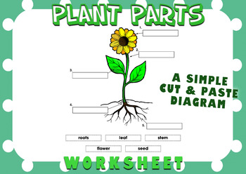 Preview of Plant Parts Worksheet