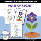 Plant Parts Worksheets and Diagram Poster