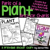 Plant Parts and Functions Anchor Chart