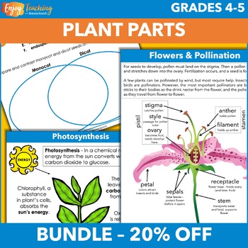 Preview of Plant Parts Unit - Structures & Functions Activities for Fourth & Fifth Grades