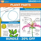 Plant Parts Unit - Structures & Functions Activities for F