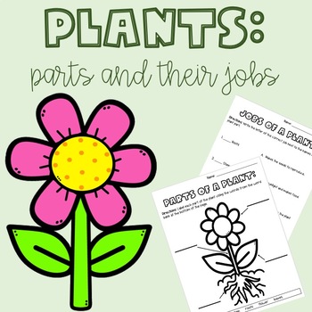 Preview of Plant Parts and Jobs