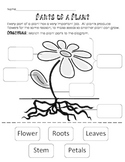 Plant Parts and Jobs Cut and Paste-  3 lesson activities, 