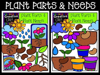 Preview of Plant Parts and Needs Clipart {Flower Plant Life Cycle Clipart}