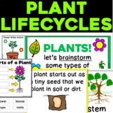 Plant Life Cycles and Plant Parts for 3K, Preschool, Pre-K