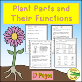 Plant Parts and Their Functions