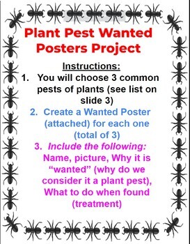 Preview of Plant Pest Wanted Poster Project
