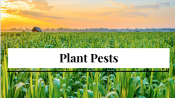 Preview of Plant Pests