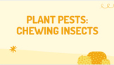 Plant Pests: Chewing Insects, Pesticides, IPM