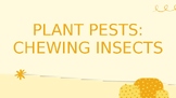 Plant Pests: Chewing Insects, Pesticides, IPM - NOTE SLIDES