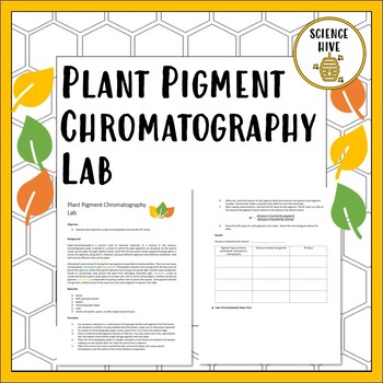 Preview of Plant Pigment Chromatography Lab