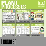 Plant Processes Activity Bundle | Photosynthesis and Plant