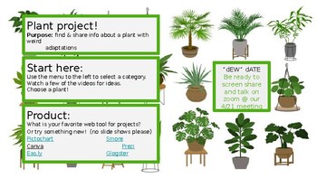 Plant Project #22 by Plant Project - Issuu
