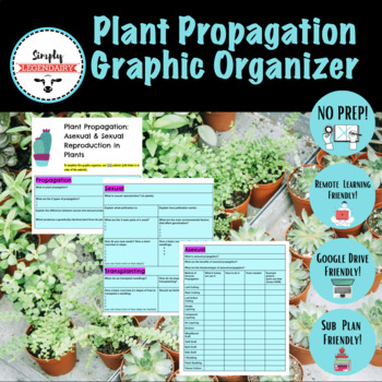 Preview of Plant Propagation Graphic Organizer & Notes- Horticulture- NO PREP!