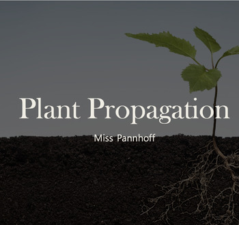 Preview of Plant Propagation Guided Lesson Bundle