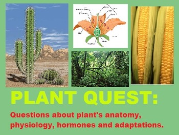 Preview of Plant Questions Task Cards or Quest PowerPoint