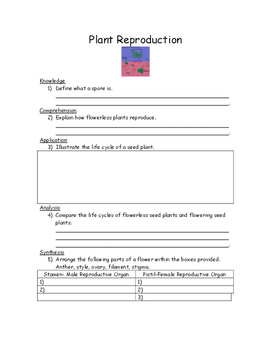 Spores Or Seeds Worksheets Teaching Resources Tpt