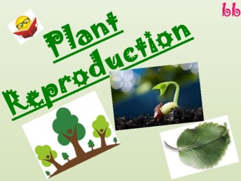 Preview of Plant Reproduction