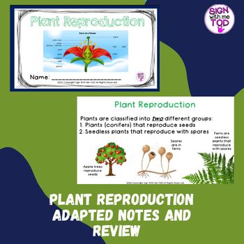 Preview of Plant Reproduction Adapted Notes and Review