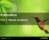 PPT - Pollination: Flowers, Pollinators & Pollination Strategies