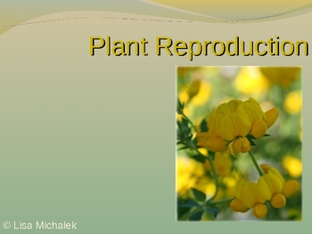 Preview of Plant Reproduction PowerPoint Presentation Lesson Plan