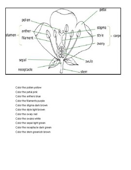 Plant Reproduction Reading and Coloring by Love Learning Science