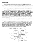 Plant Reproduction Reading and Coloring